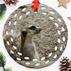 Adorable Meerkat Ornament (round Filigree) 