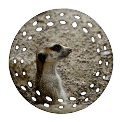 Adorable Meerkat Round Filigree Ornament (2side)