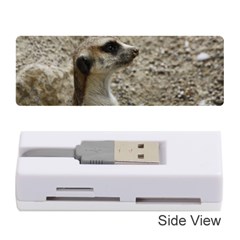 Adorable Meerkat Memory Card Reader (stick) 