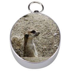 Adorable Meerkat Silver Compasses by ImpressiveMoments