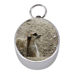 Adorable Meerkat Mini Silver Compasses by ImpressiveMoments