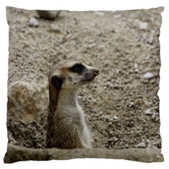 Adorable Meerkat Large Flano Cushion Cases (two Sides) 