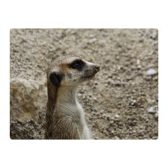 Adorable Meerkat Double Sided Flano Blanket (mini) 