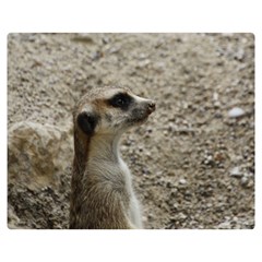 Adorable Meerkat Double Sided Flano Blanket (medium) 