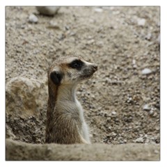 Adorable Meerkat Large Satin Scarf (square)