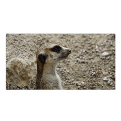 Adorable Meerkat Satin Shawl by ImpressiveMoments