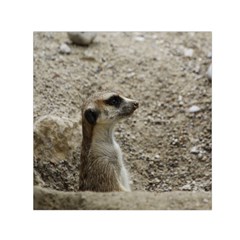 Adorable Meerkat Small Satin Scarf (square)  by ImpressiveMoments