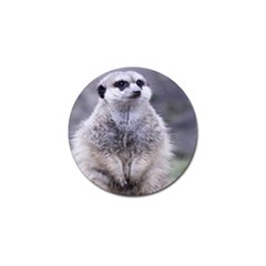 Adorable Meerkat 03 Golf Ball Marker (4 Pack) by ImpressiveMoments