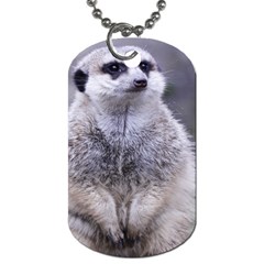 Adorable Meerkat 03 Dog Tag (two Sides) by ImpressiveMoments