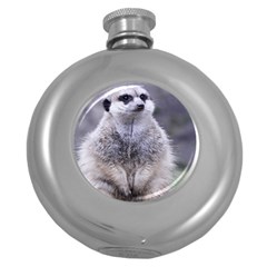 Adorable Meerkat 03 Round Hip Flask (5 Oz) by ImpressiveMoments