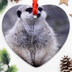 Adorable Meerkat 03 Heart Ornament (2 Sides)