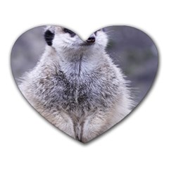 Adorable Meerkat 03 Heart Mousepads by ImpressiveMoments