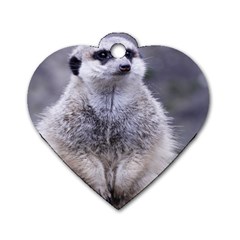 Adorable Meerkat 03 Dog Tag Heart (one Side)