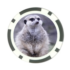 Adorable Meerkat 03 Poker Chip Card Guards