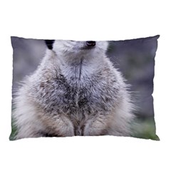 Adorable Meerkat 03 Pillow Cases