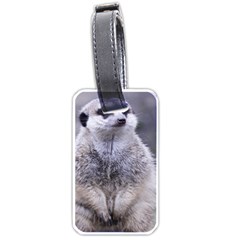 Adorable Meerkat 03 Luggage Tags (one Side)  by ImpressiveMoments