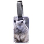 Adorable Meerkat 03 Luggage Tags (Two Sides) Front