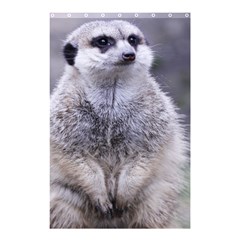 Adorable Meerkat 03 Shower Curtain 48  X 72  (small) 