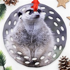 Adorable Meerkat 03 Ornament (round Filigree) 