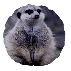 Adorable Meerkat 03 Large 18  Premium Round Cushions