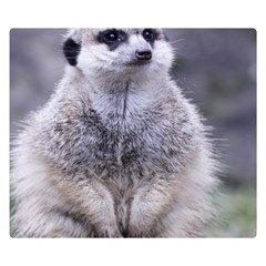 Adorable Meerkat 03 Double Sided Flano Blanket (small)  by ImpressiveMoments