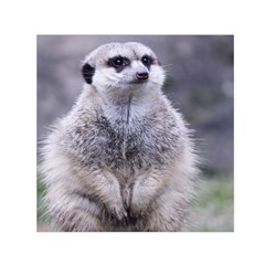 Adorable Meerkat 03 Small Satin Scarf (square) 