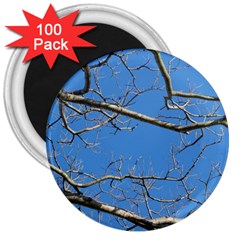 Leafless Tree Branches Against Blue Sky 3  Magnets (100 Pack)