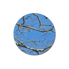 Leafless Tree Branches Against Blue Sky Magnet 3  (round)