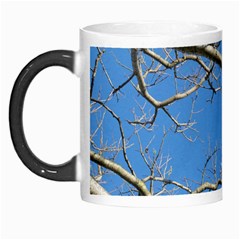 Leafless Tree Branches Against Blue Sky Morph Mugs