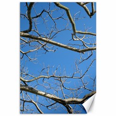 Leafless Tree Branches Against Blue Sky Canvas 12  X 18   by dflcprints