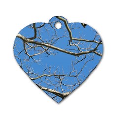 Leafless Tree Branches Against Blue Sky Dog Tag Heart (two Sides)