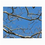 Leafless Tree Branches Against Blue Sky Small Glasses Cloth (2-Side) Front