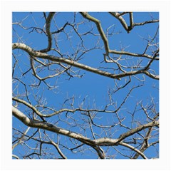 Leafless Tree Branches Against Blue Sky Medium Glasses Cloth (2-side) by dflcprints