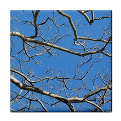 Leafless Tree Branches Against Blue Sky Face Towel by dflcprints