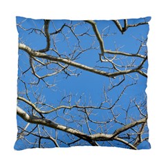 Leafless Tree Branches Against Blue Sky Standard Cushion Cases (two Sides)  by dflcprints