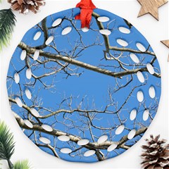 Leafless Tree Branches Against Blue Sky Ornament (round Filigree) 