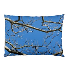 Leafless Tree Branches Against Blue Sky Pillow Cases (two Sides)