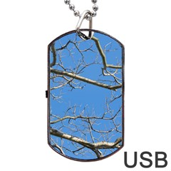 Leafless Tree Branches Against Blue Sky Dog Tag Usb Flash (one Side)