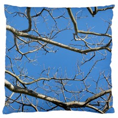 Leafless Tree Branches Against Blue Sky Large Cushion Cases (one Side)  by dflcprints