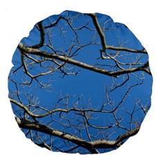 Leafless Tree Branches Against Blue Sky Large 18  Premium Round Cushions by dflcprints