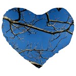 Leafless Tree Branches Against Blue Sky Large 19  Premium Heart Shape Cushions Front