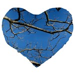 Leafless Tree Branches Against Blue Sky Large 19  Premium Heart Shape Cushions Back