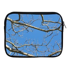 Leafless Tree Branches Against Blue Sky Apple Ipad 2/3/4 Zipper Cases by dflcprints