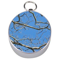 Leafless Tree Branches Against Blue Sky Silver Compasses