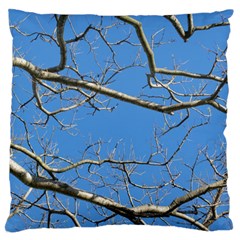 Leafless Tree Branches Against Blue Sky Standard Flano Cushion Cases (one Side) 