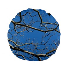 Leafless Tree Branches Against Blue Sky Standard 15  Premium Flano Round Cushions