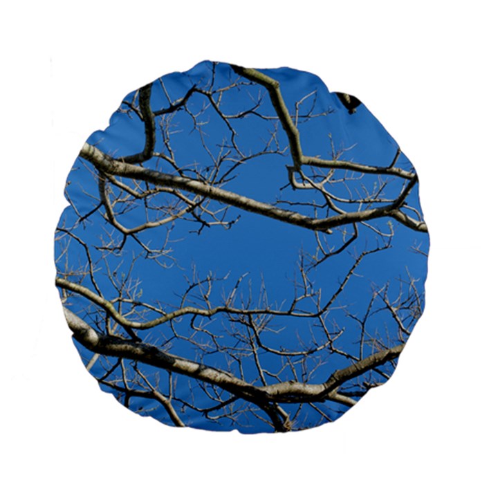 Leafless Tree Branches Against Blue Sky Standard 15  Premium Flano Round Cushions