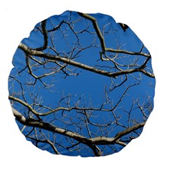 Leafless Tree Branches Against Blue Sky Large 18  Premium Flano Round Cushions by dflcprints