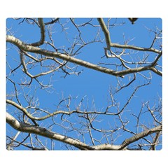 Leafless Tree Branches Against Blue Sky Double Sided Flano Blanket (small) 