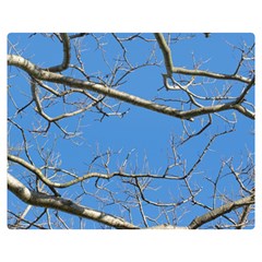 Leafless Tree Branches Against Blue Sky Double Sided Flano Blanket (medium) 